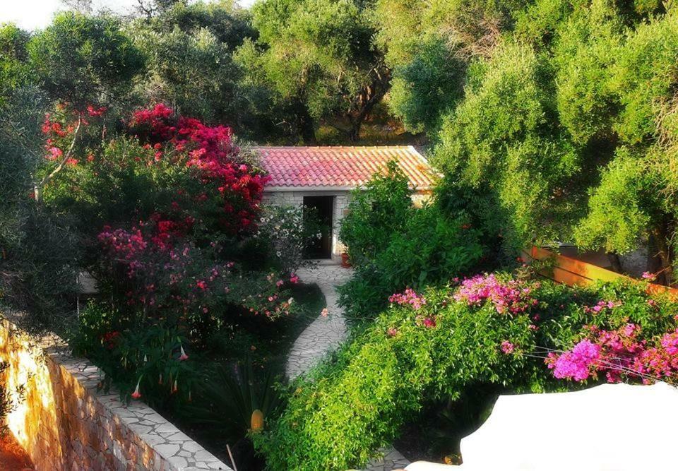 Villa Loulaki Magazia Paxi Arvanitakeika المظهر الخارجي الصورة